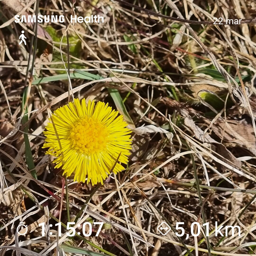 0ce06d00-1c8a-417a-a36d-48d76f714bbb