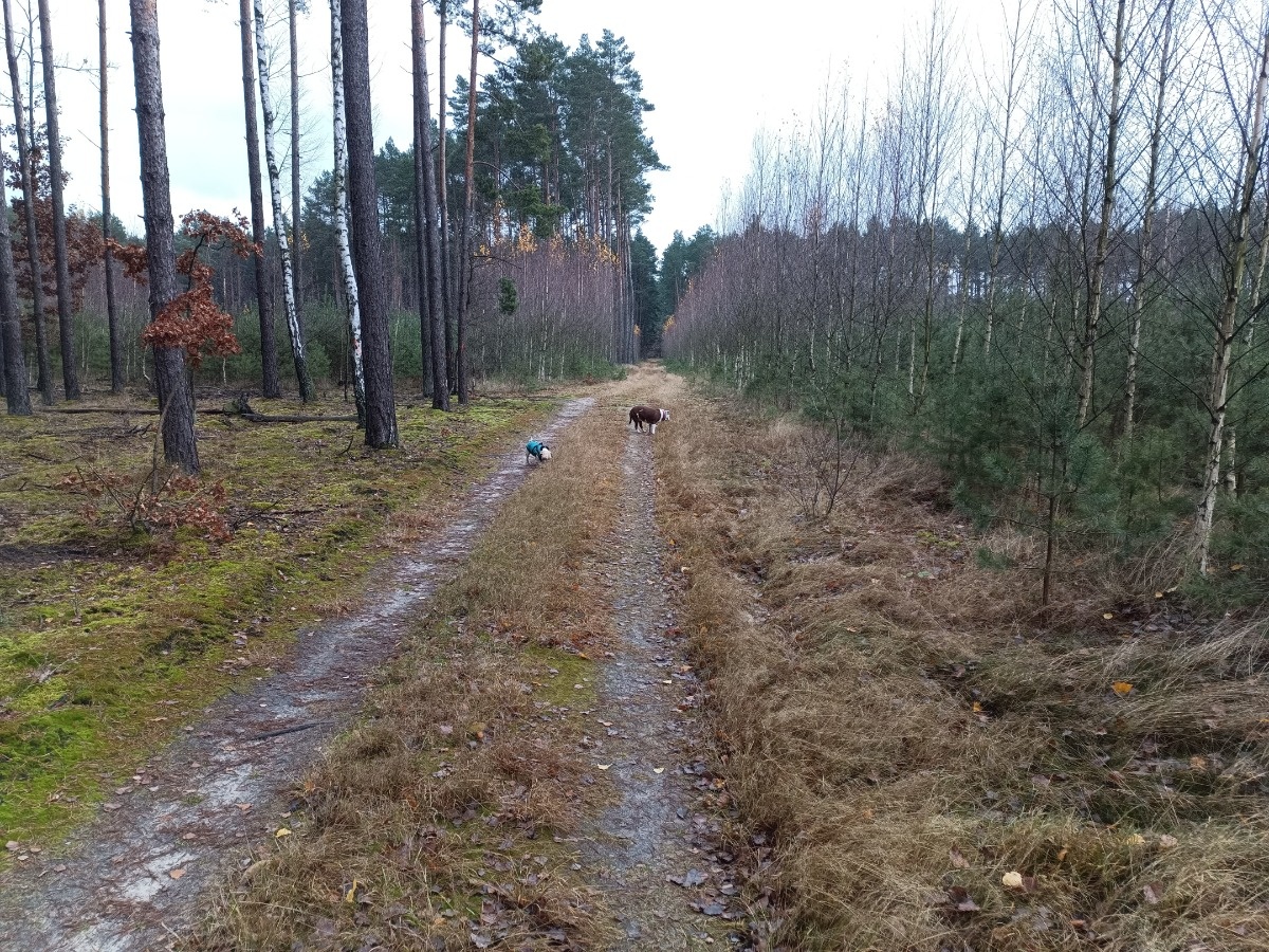 d31d4b4c-3443-48ac-96d1-efc9cea2bd37