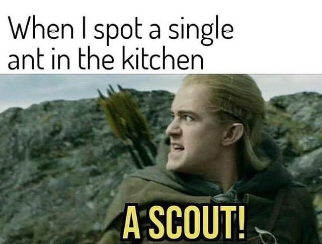 ac8ba1bf-f76c-4a4b-986a-1401e86e9ebc