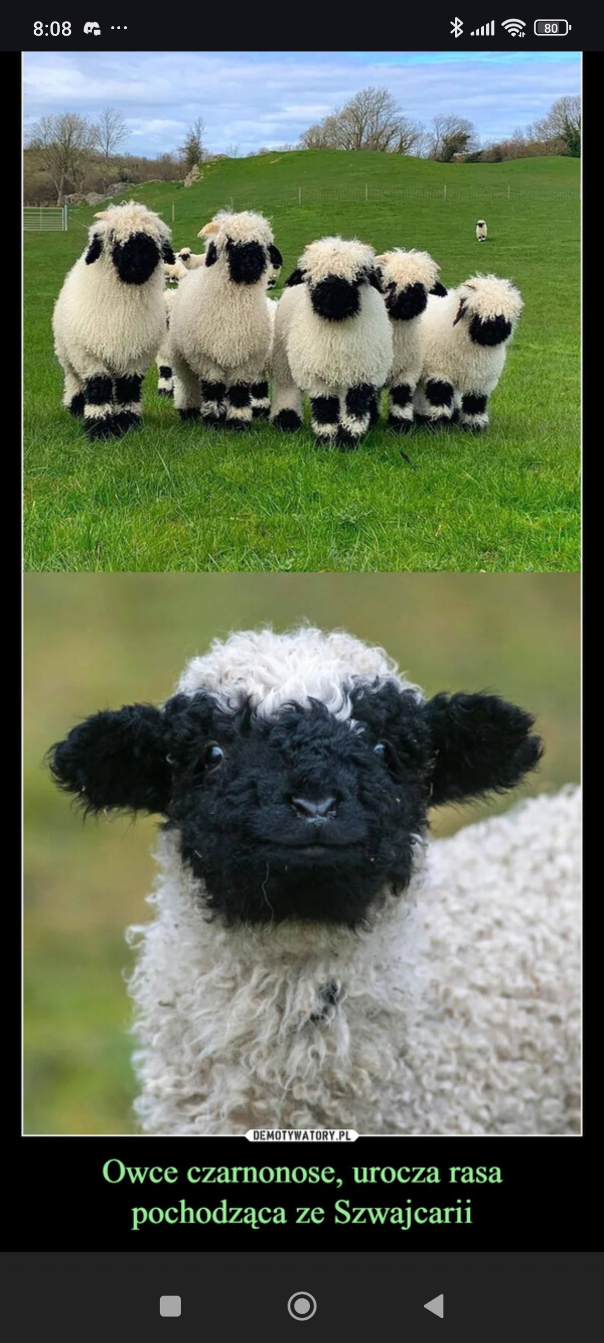 77090c2a-09d5-4228-8d5a-f4e5d79d45fb