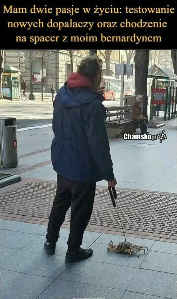 0994d099-b3ce-48d3-bb3a-488bfd75d81a