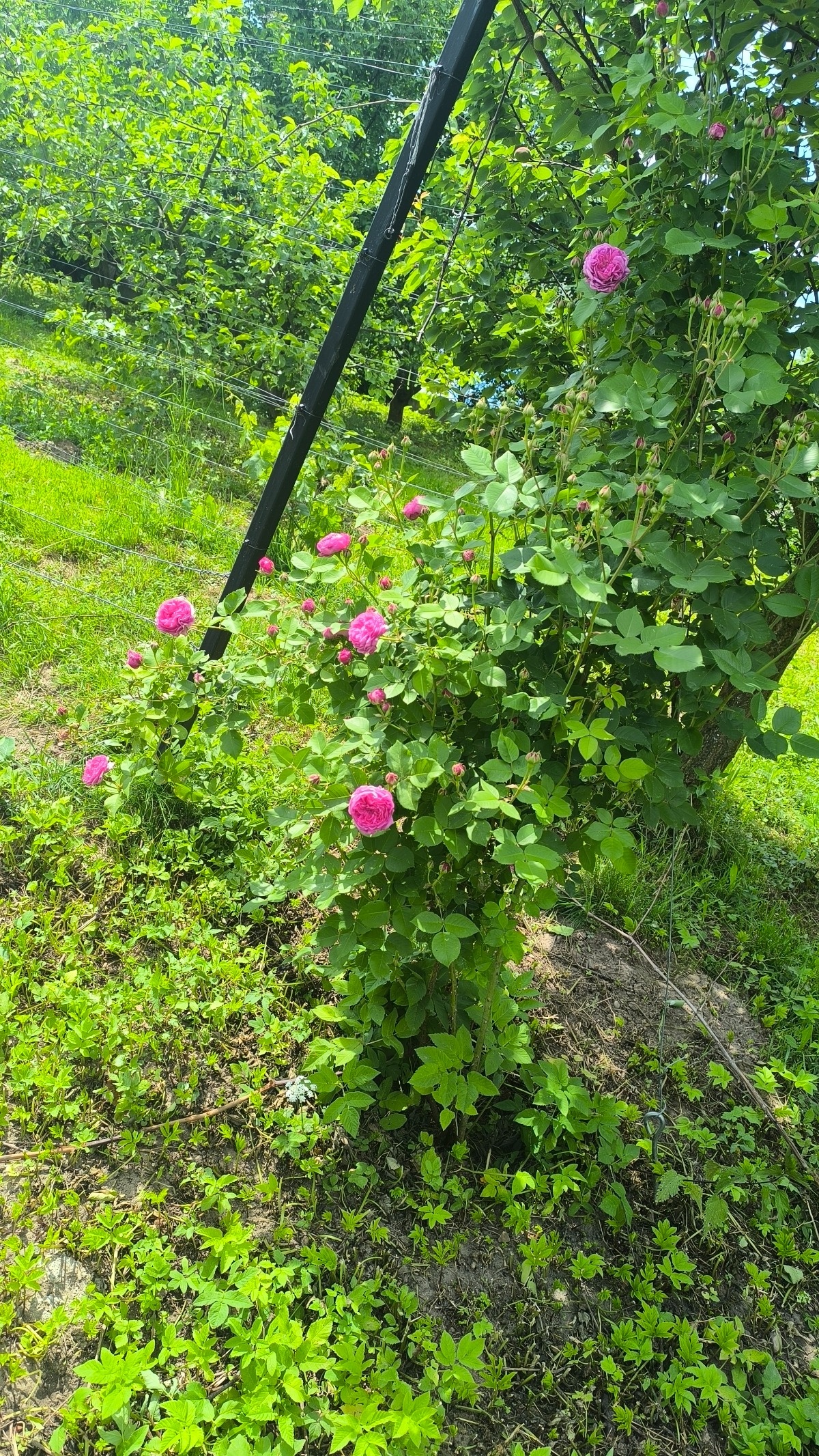 8ab3f16d-4d54-48b6-be86-38c7e11aa157