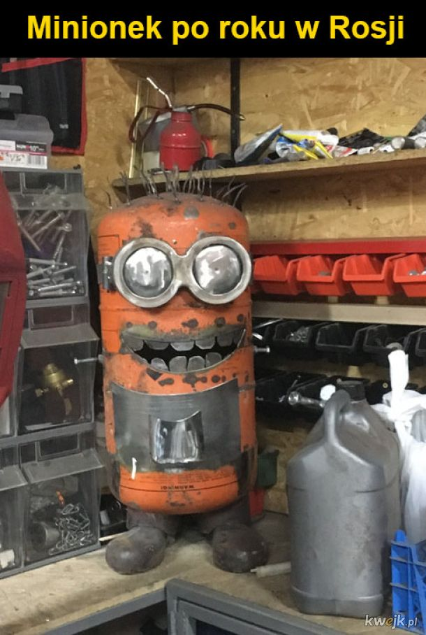 66337321-e887-4768-9ef3-fe7dde154eba