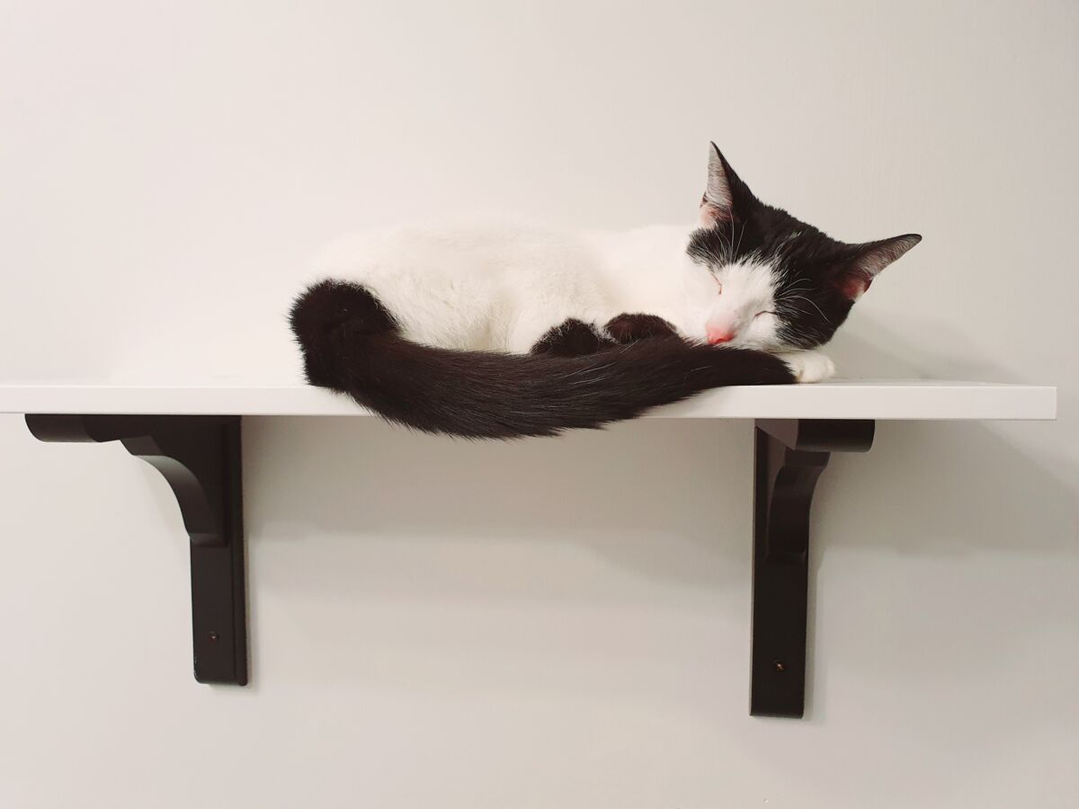 1013c584-efa1-4692-8495-82e03f0683d1