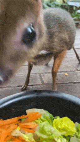 900aa153-cdad-4af5-9e26-bd13f024ea52