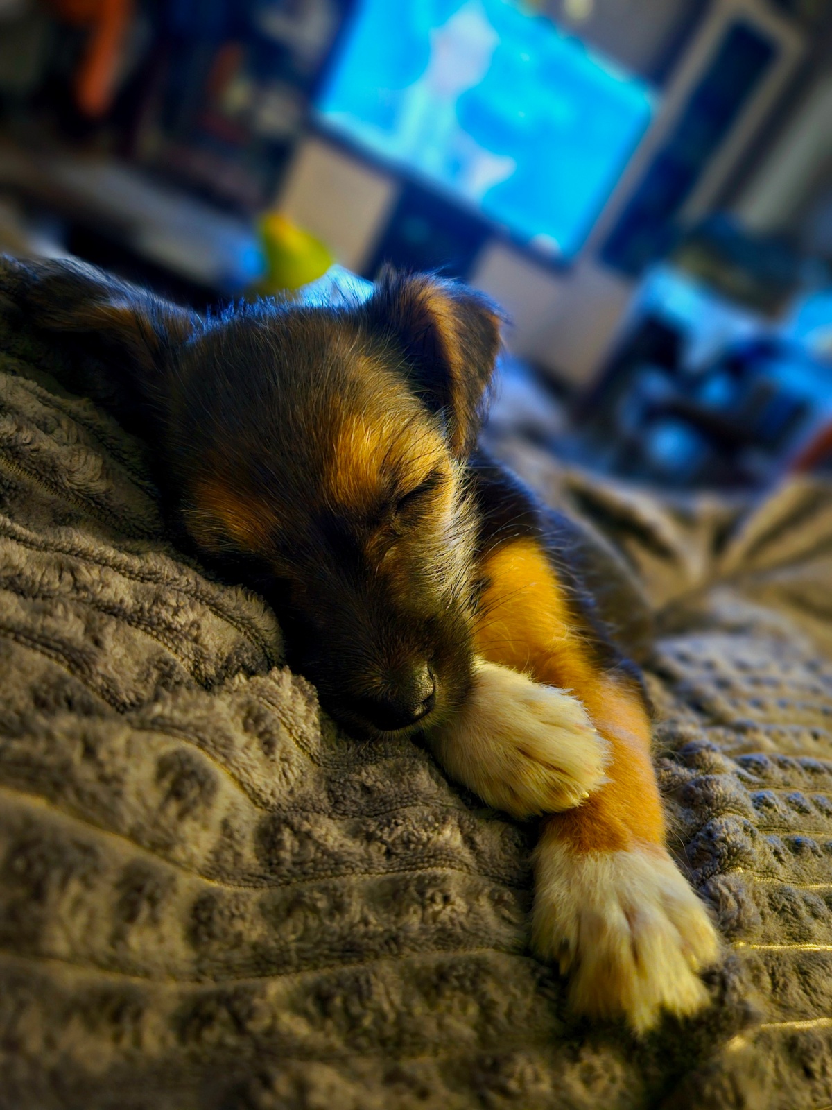 b9a3b023-c465-424b-9bf7-6d9c161355ad