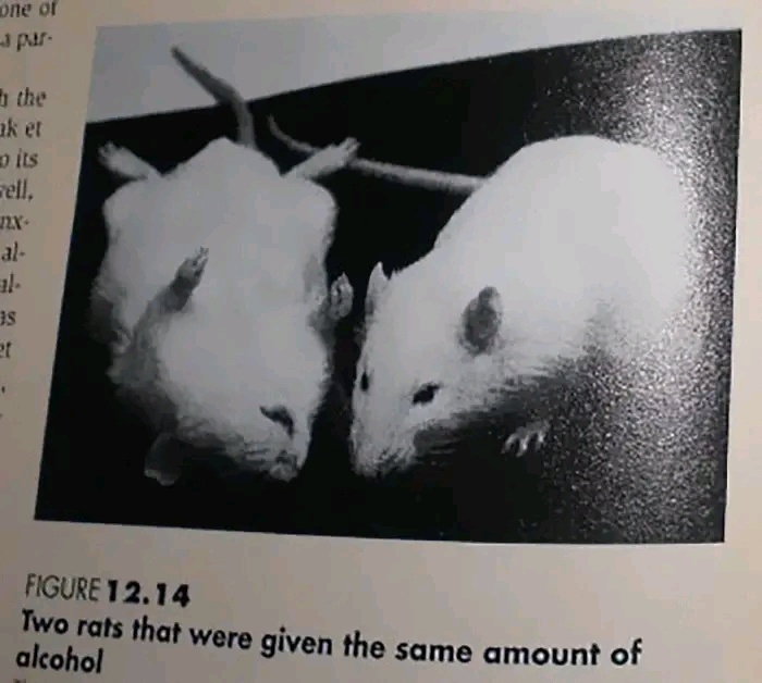 d138b11b-c77f-498b-92f5-1caed7b33565