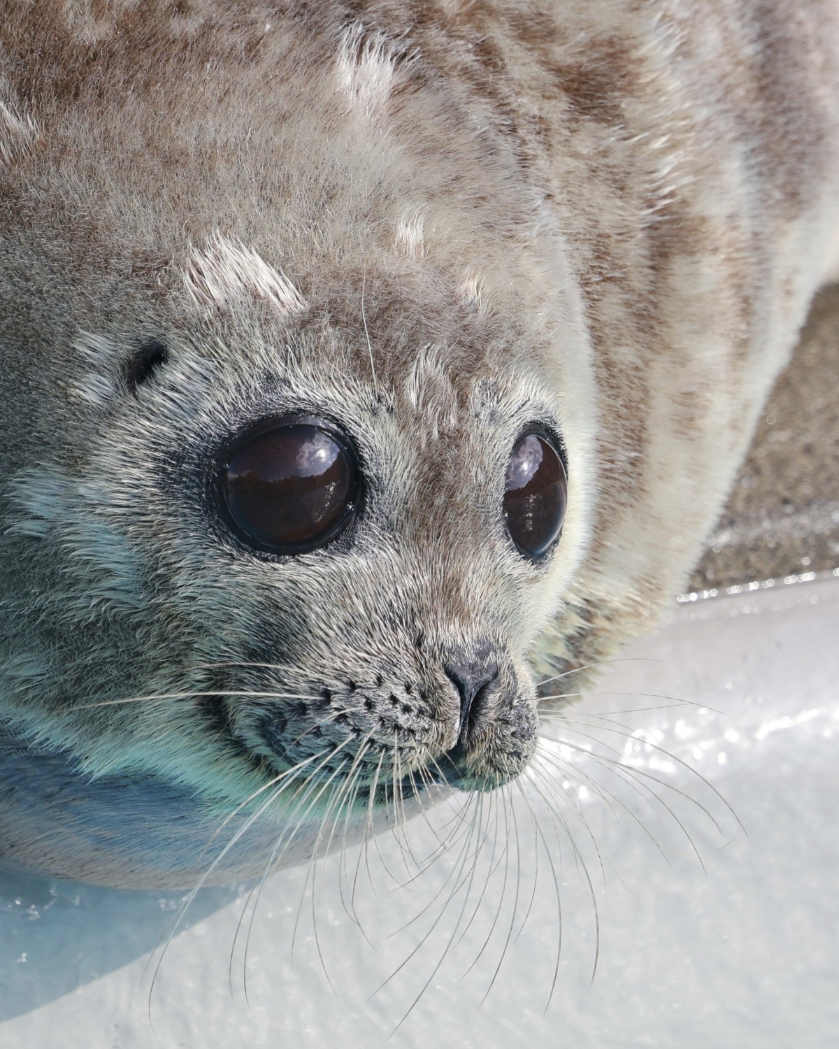 ea107087-96d0-4d35-91a6-96bb8f6ba70d