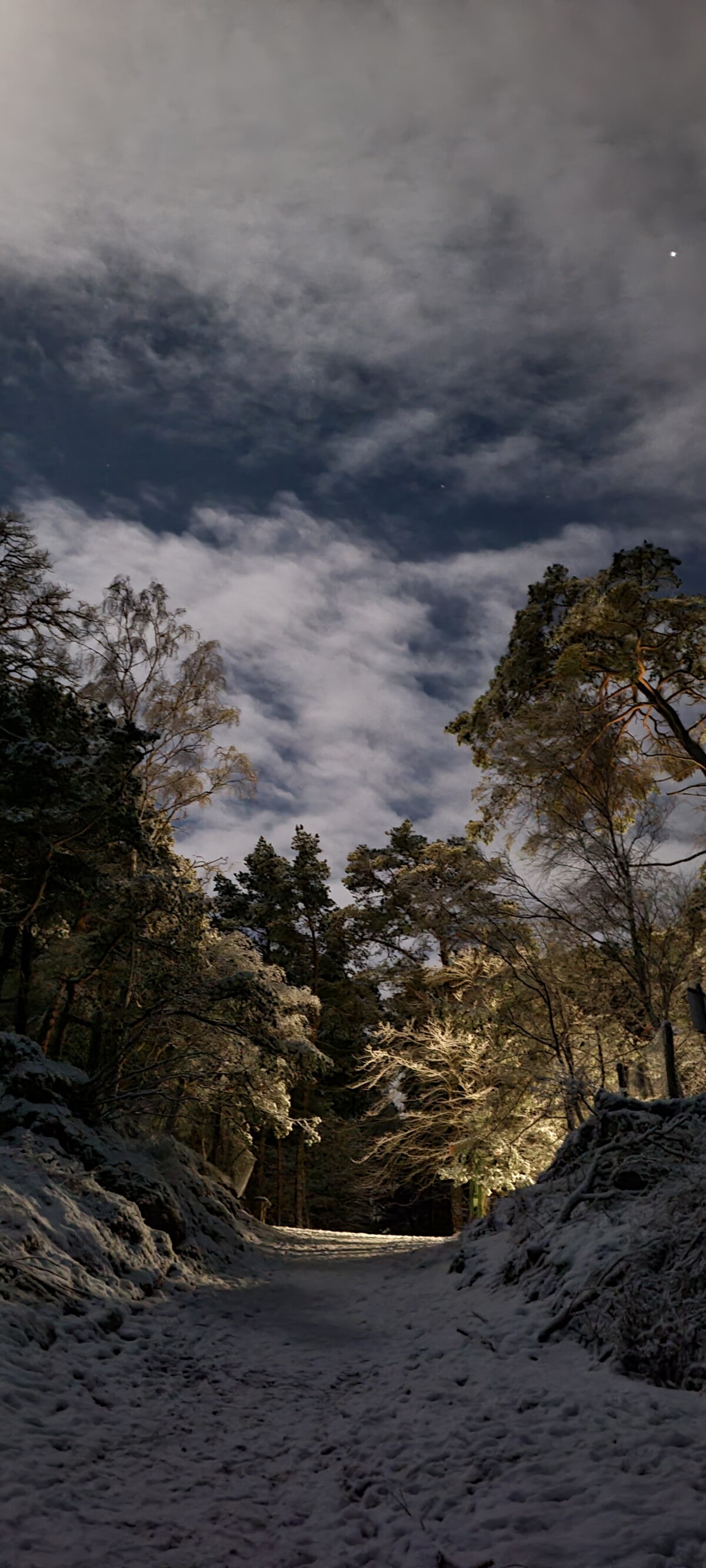 dc5ae41b-387b-4204-ad8b-f5cb4fea4ce8