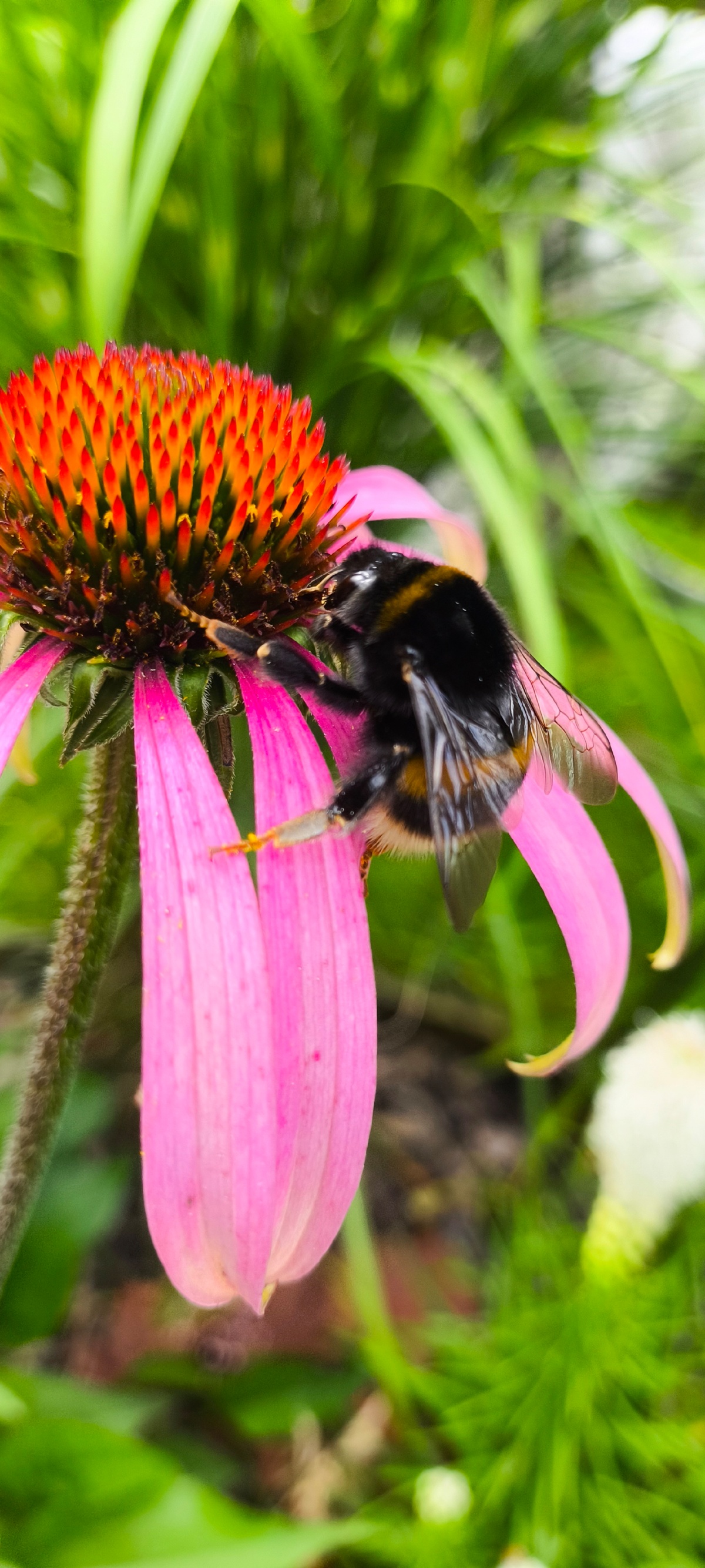 416d71c8-70cd-488a-bcb8-cd7621542da8