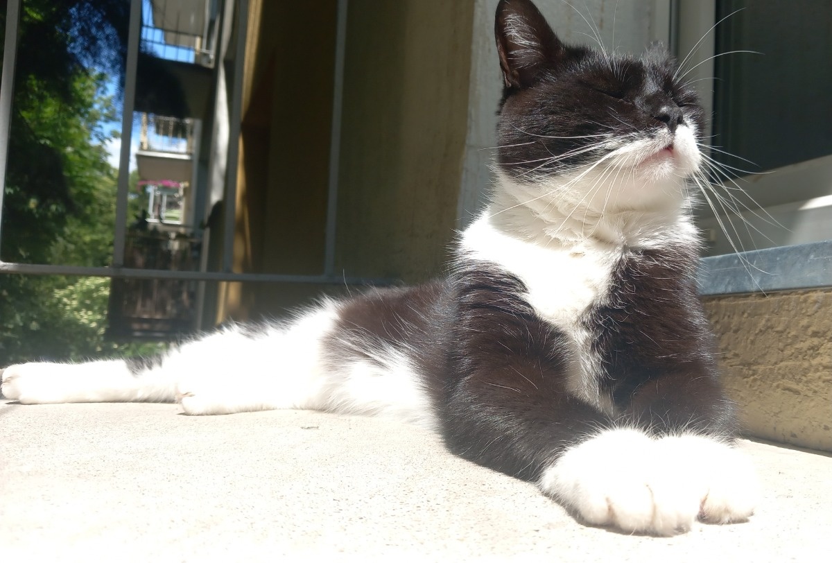 680d422e-eab2-498c-9540-71ffec73e6ca