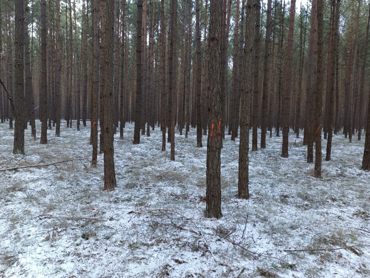 e367dadf-ff3a-4455-bb65-00a6de275a9a