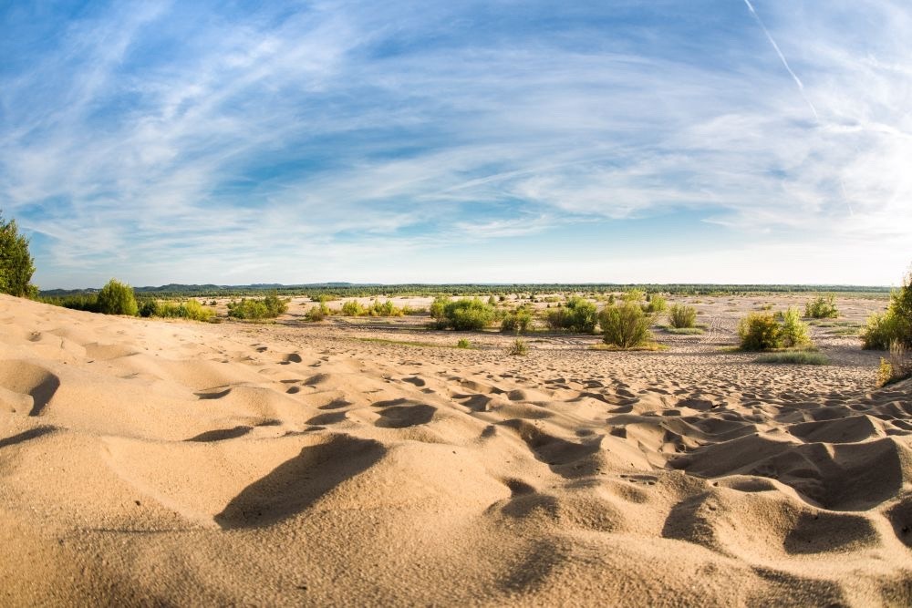 d4e10c60-7829-4ff2-a7cd-9fff0712c480