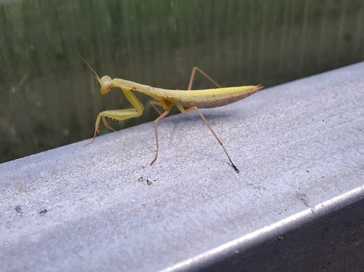 f0085f6b-5c2f-4a59-a651-38293311f8e1