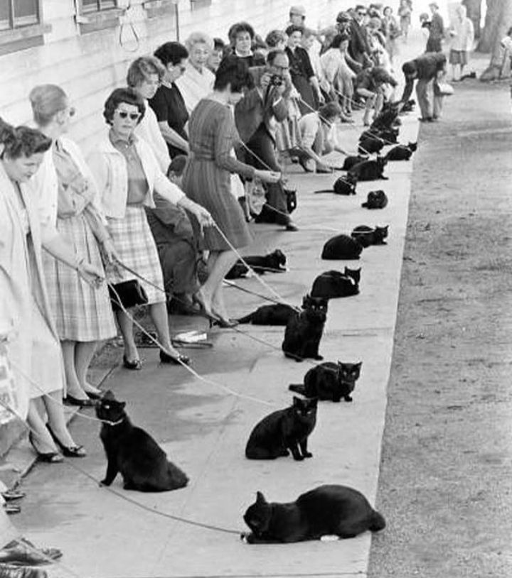 32b57eeb-d74e-4f4c-9312-b034dc8f4b6f