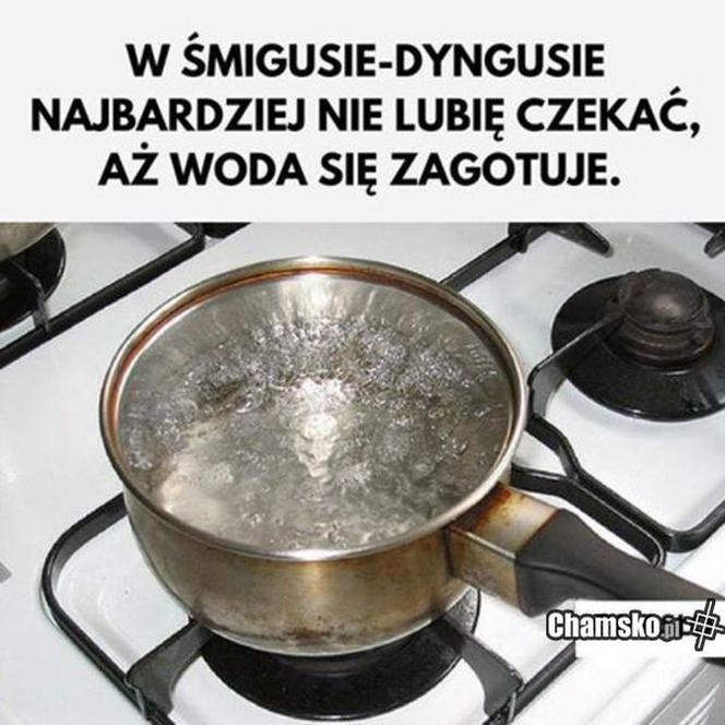 7443a37c-0f27-4543-8d7c-4105b572976e