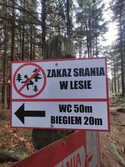 6f21c252-2f92-446a-b8a7-f2c9978c9ead