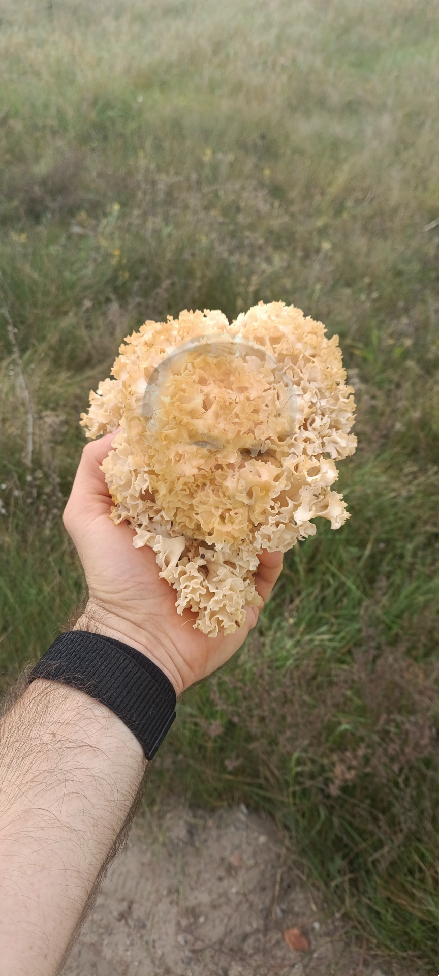 ff031c19-b3bf-4fa2-b4b8-5c77eca4fe4b