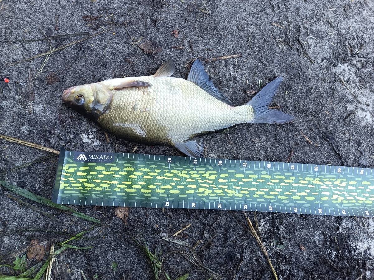 621ed6be-a10b-4e68-9311-a4b965448f22