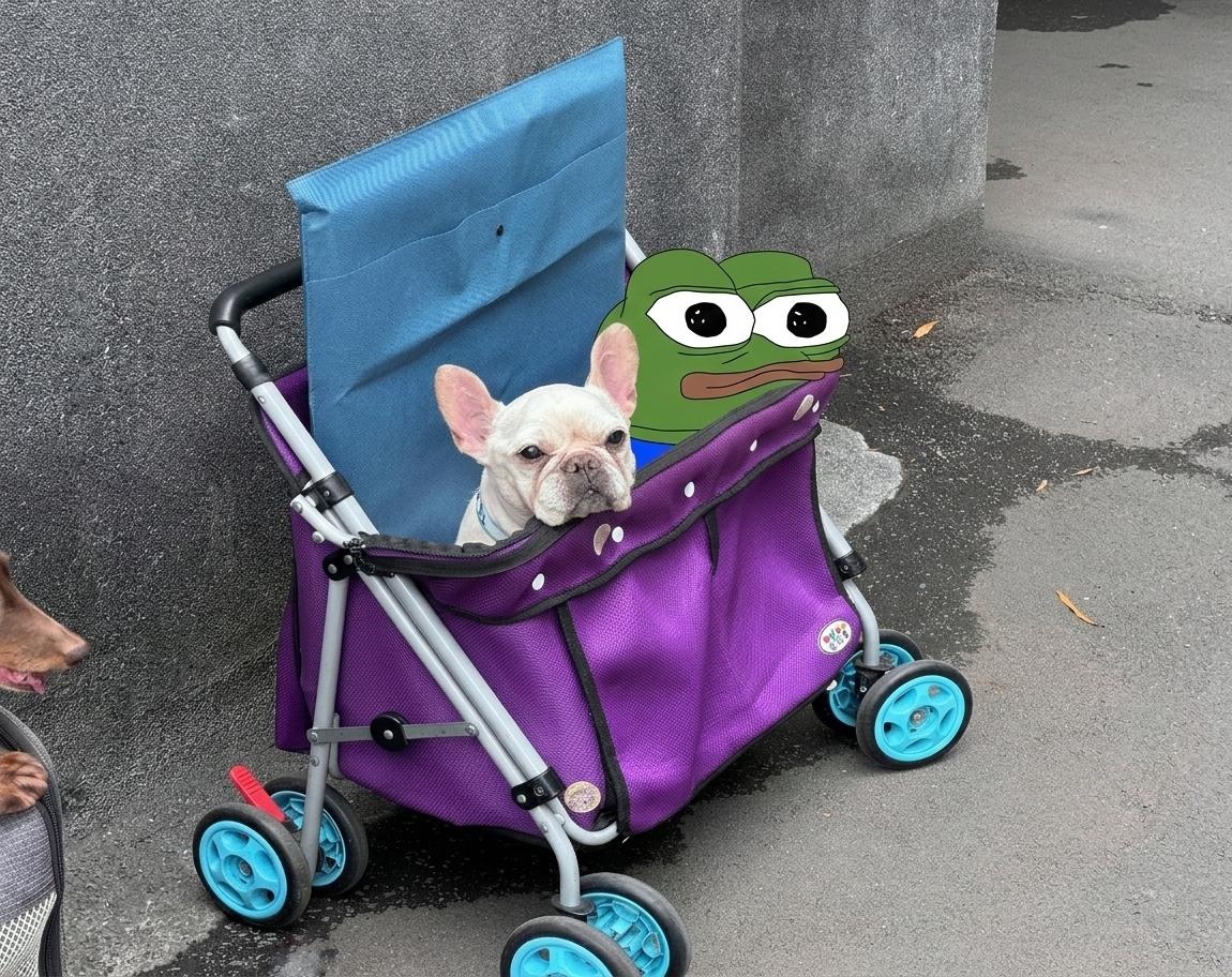 ff938a3a-7f57-471a-99c1-31fefee9b8a3