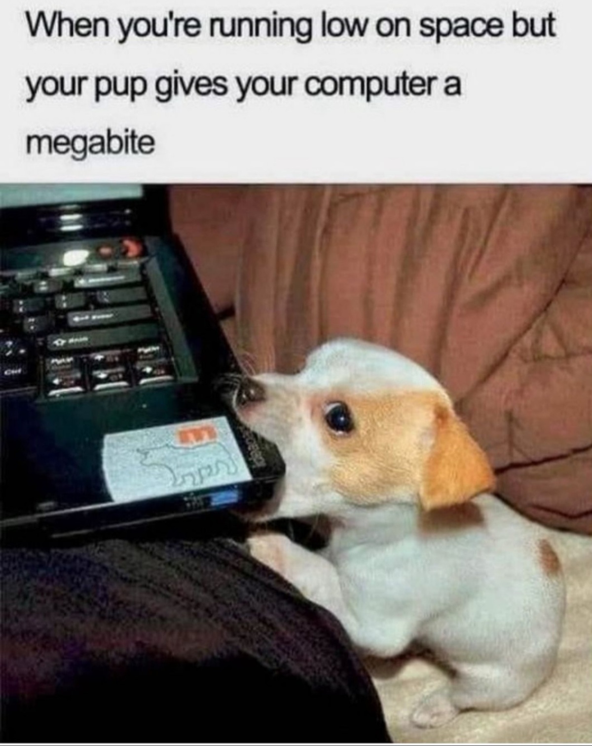 839ee2dc-7985-4415-85a0-1ee1f3a8eef6