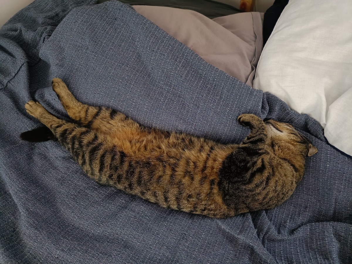 9c6dbb2a-fa5d-491d-b419-040f37c5a161