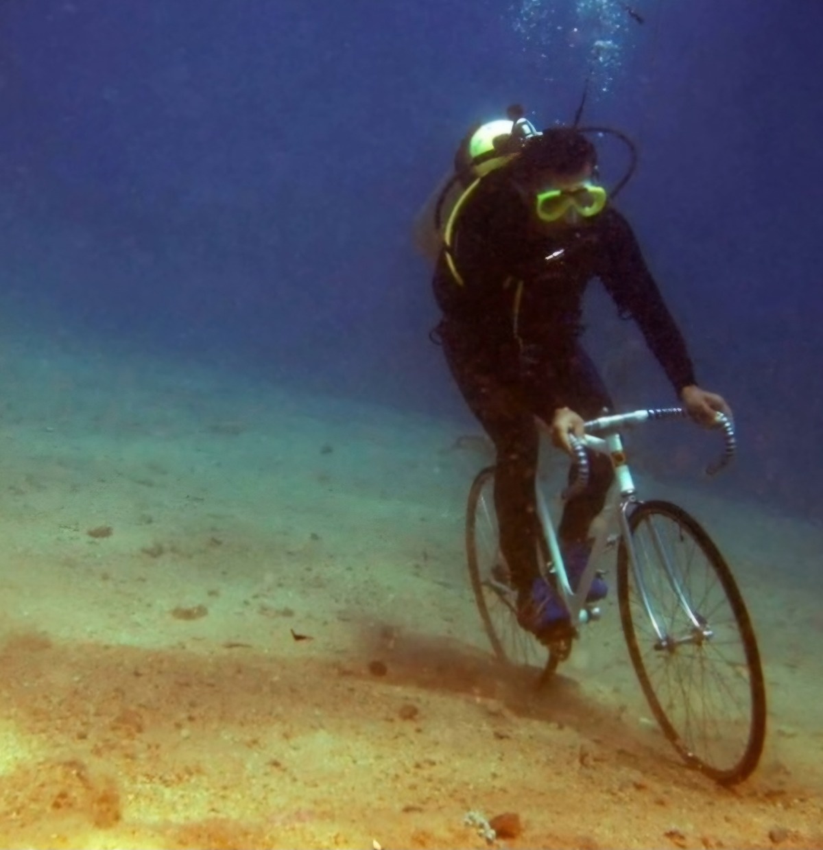 29d42a58-3ed2-4f47-b625-ed70e478e39d