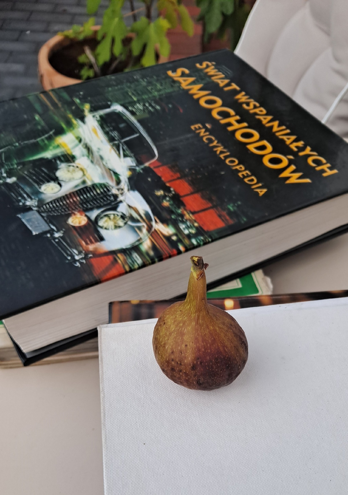 ee4f52b3-b81c-4dcb-a415-989a0ae53165