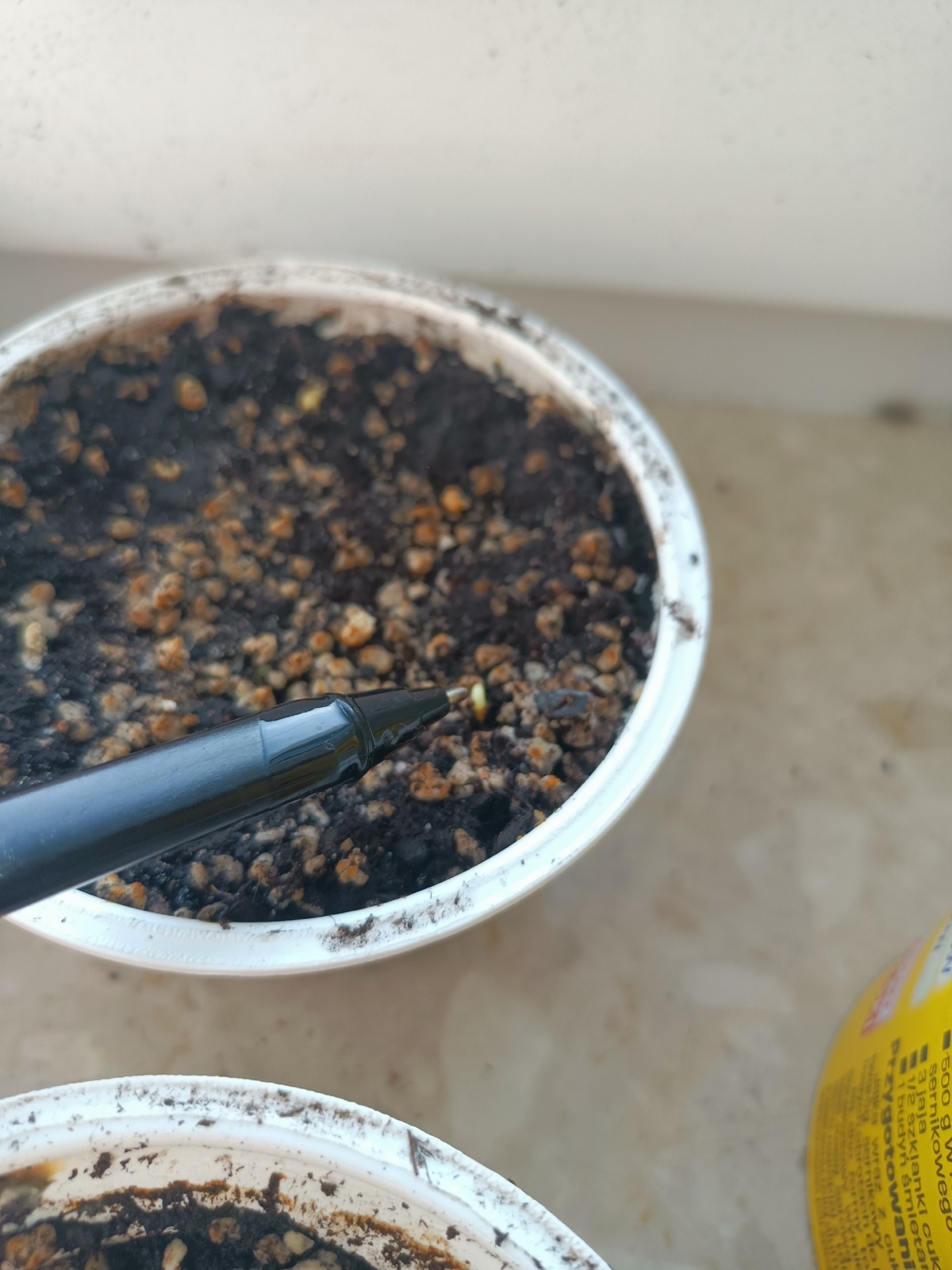 d513193b-7b6c-400b-a909-ae9a5ce04950