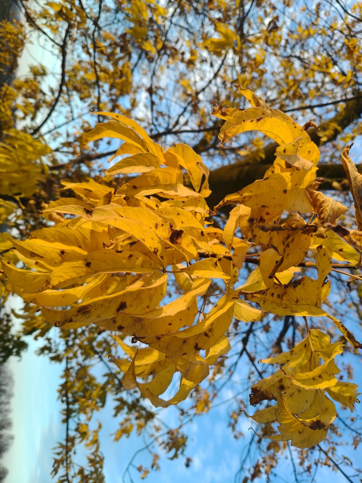 3754391c-2da2-4b12-a37d-5b53ac27beca