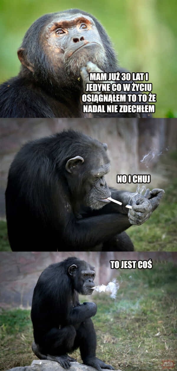 d710263c-b68e-4569-ab9d-f880ff5bc05a