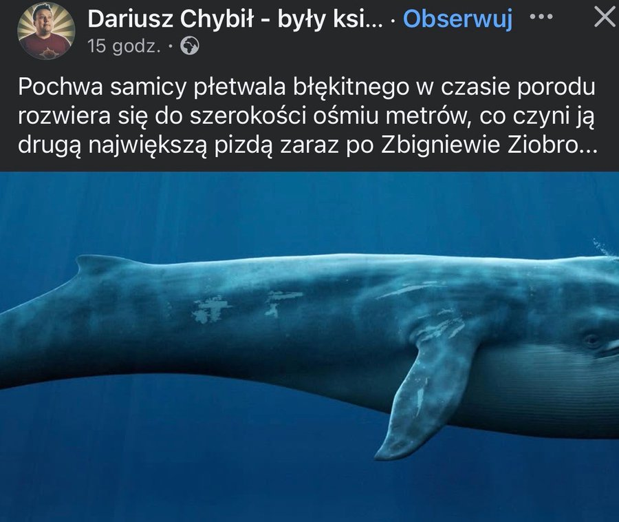 fb8a9c02-1c5b-487f-b18d-64709bc5987d