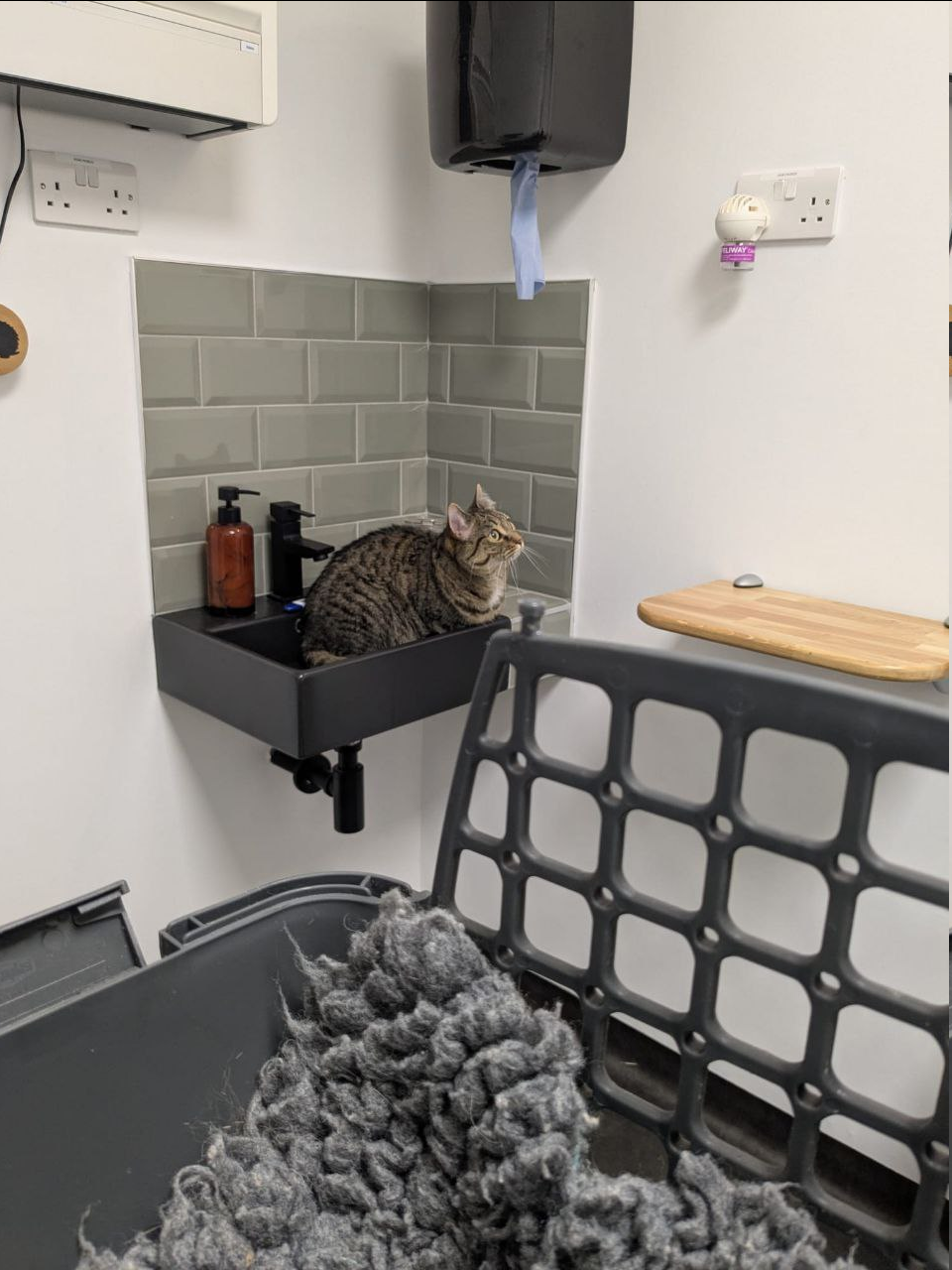 7b73a914-5f87-4479-9a5a-bbf96440f99f