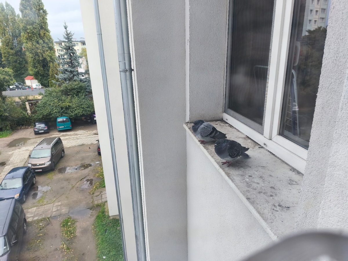 655db5ce-8347-479a-890c-57e16a445f92