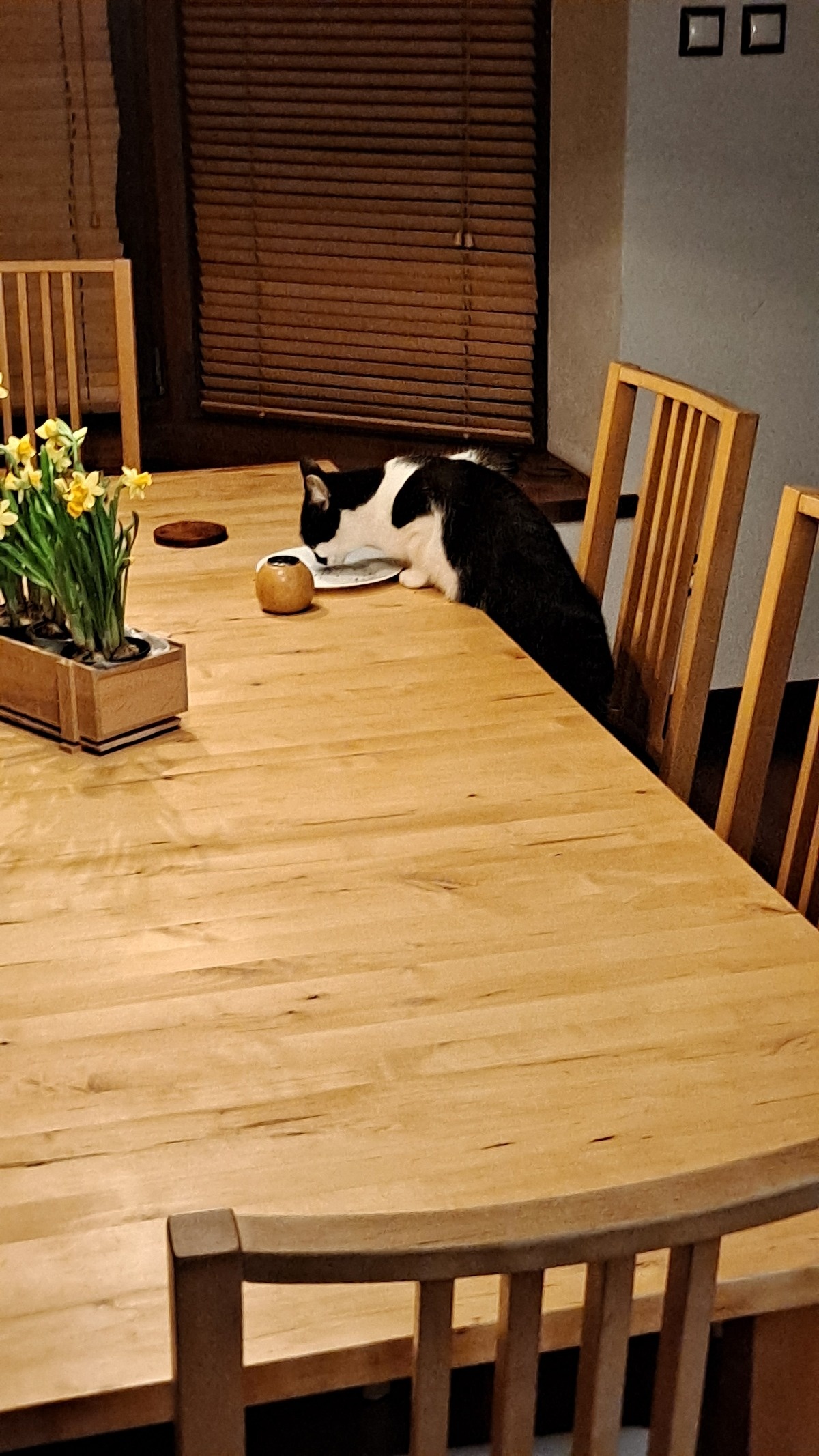 b88633a1-28ef-4464-8c52-fb13ef012828