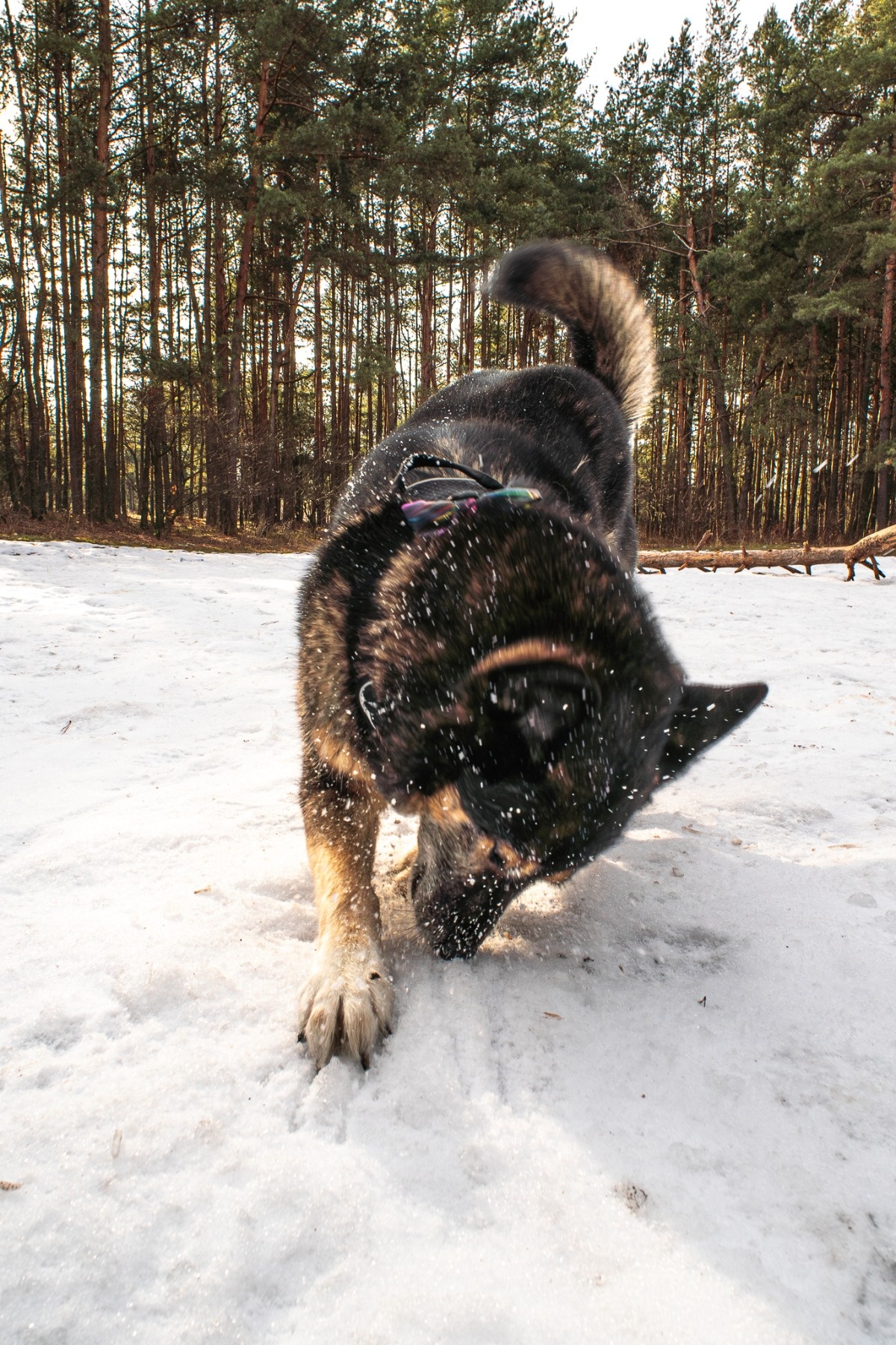 650795c4-9aad-4ba3-8244-7622aeb4e67d