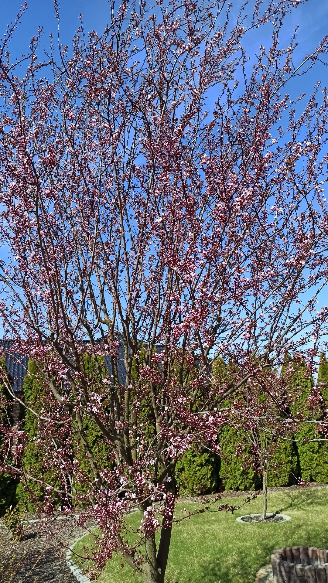 37b2d8c0-fb61-479d-94de-829839337250