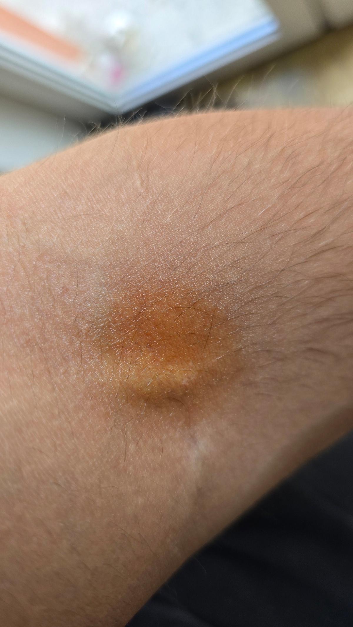 f14d88ad-77db-4d1d-a700-711ebde86b8f