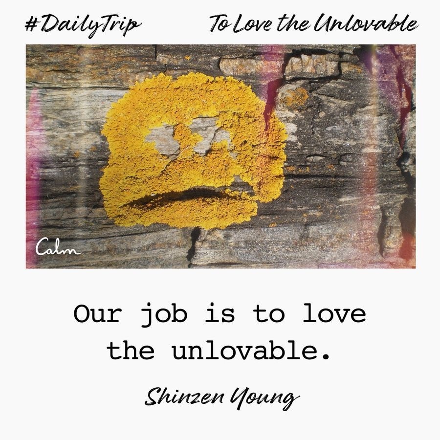 02e0f508-472d-47fa-b10f-60a7e0cf8cee