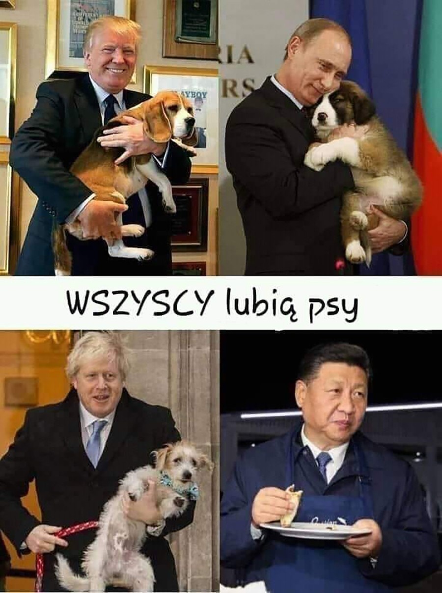 e80f601f-bd8b-4532-b445-dc04cf4bae67