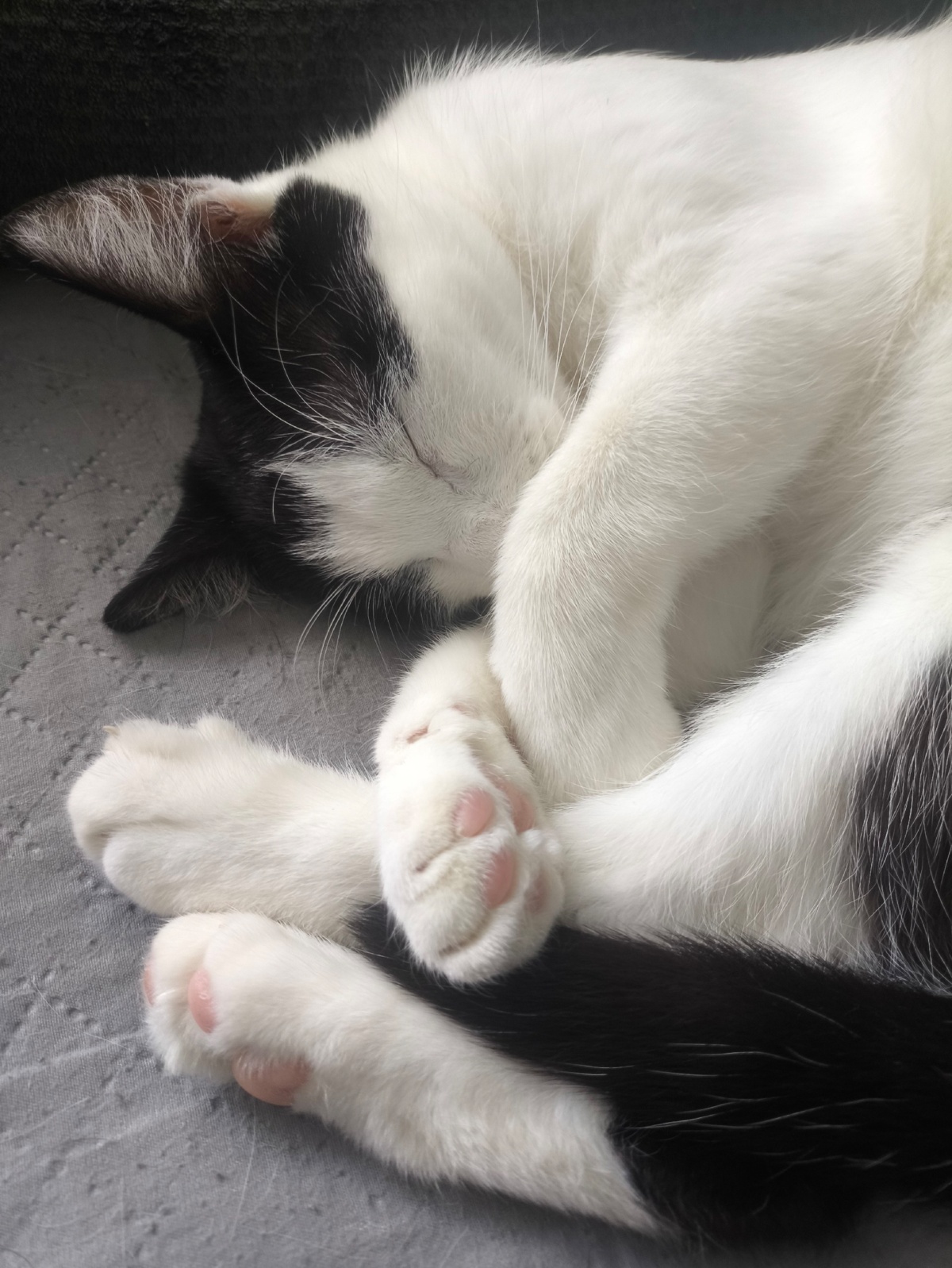 eda6564b-6731-4348-b7e4-b128b051fdf6