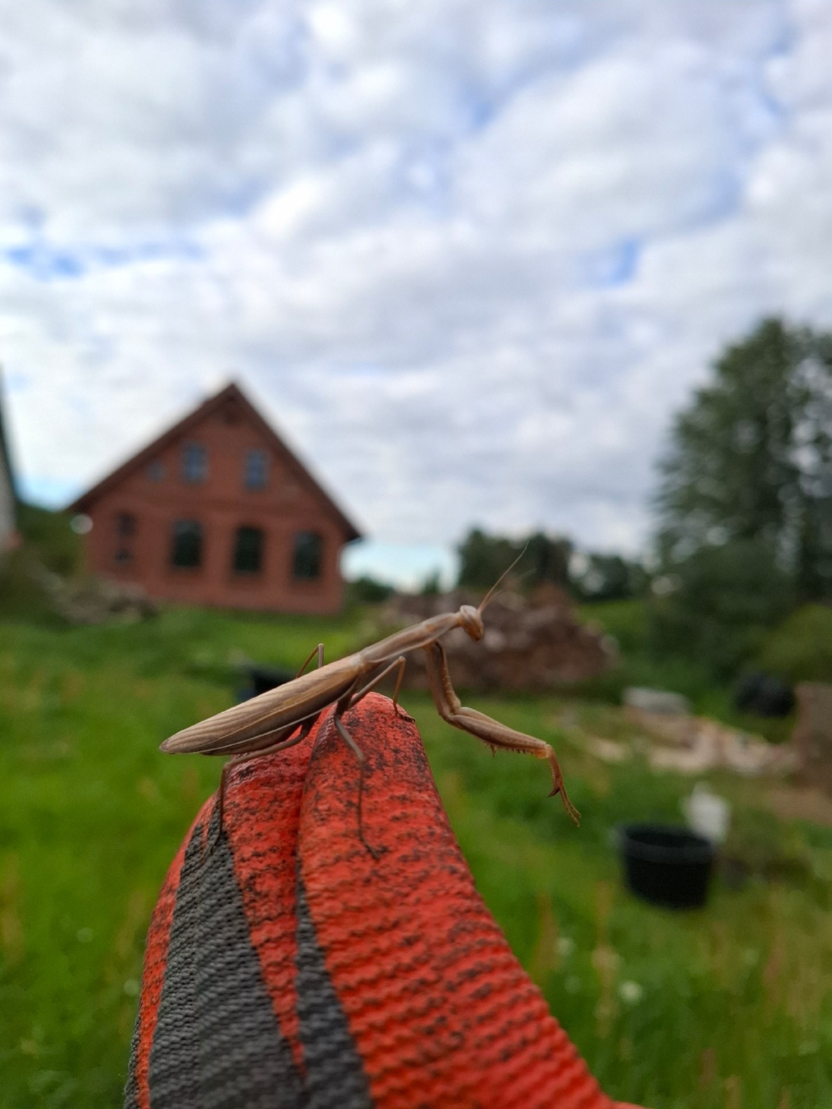 a35ccc3e-e831-4682-81e7-8636872734d8