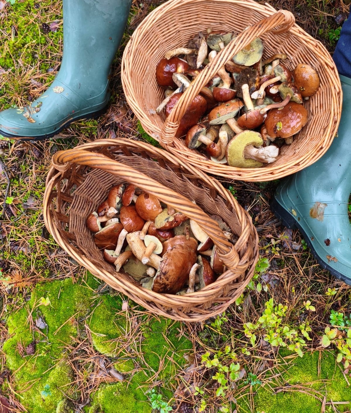 482ab4fb-7272-4cb0-94cd-9a932540ce8c