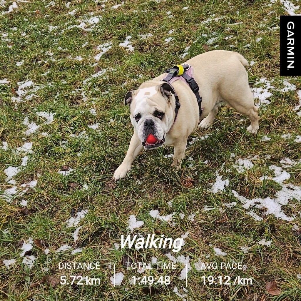 5ed09f06-8a21-4833-8fbf-11d33af2051d