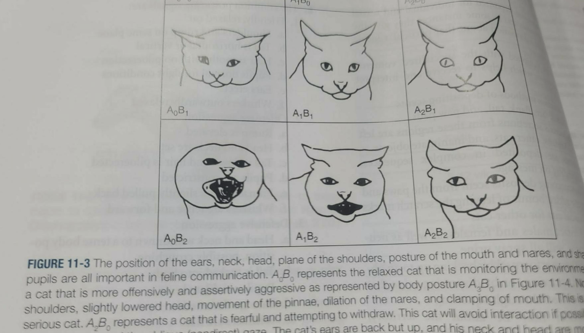 867e8ab8-683a-4e55-a26e-d392042ce4ad