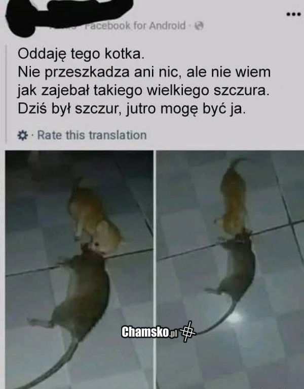 6bb608c2-3af4-4631-87a2-462b880c446f