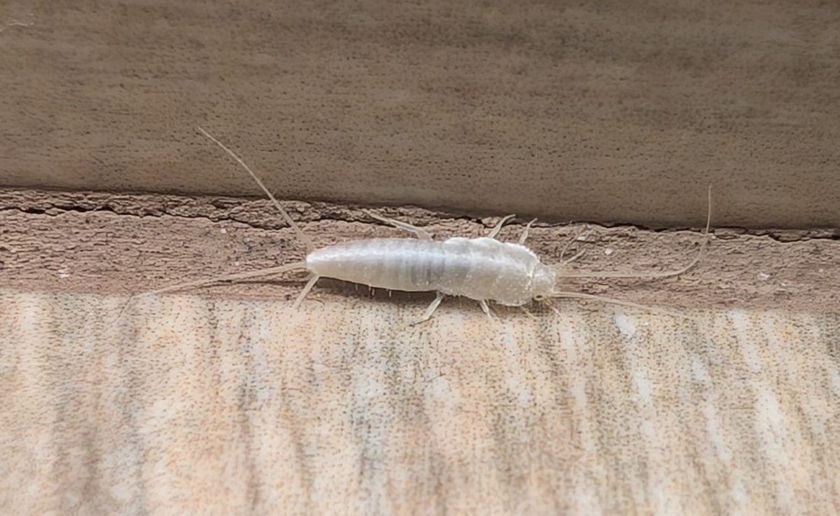 2b891ce4-601b-4559-aa62-62c84d6acc1c