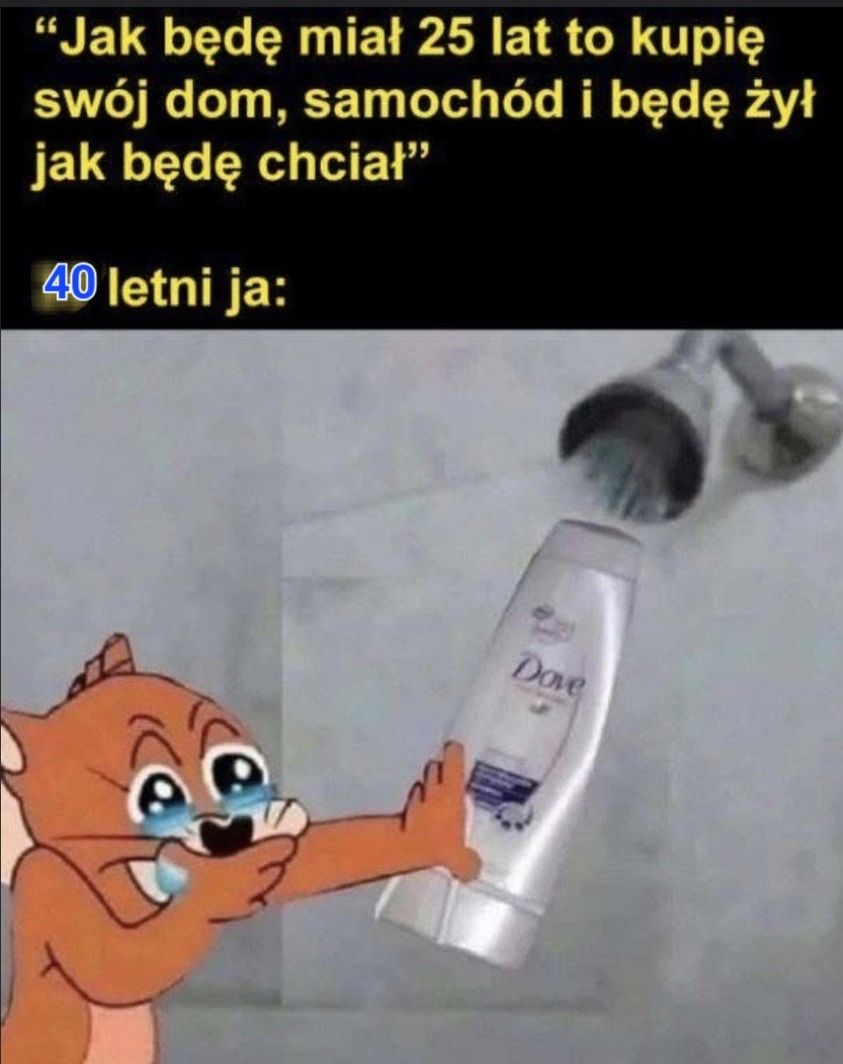 33249c0f-bd83-4e54-a615-c3f1c46b8656