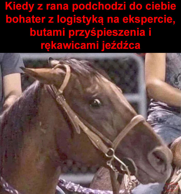 69b0fb3e-5372-4ebf-83b1-84d68c9c163e