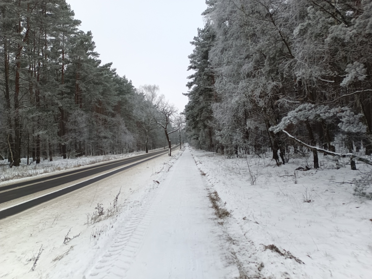 d5856e87-1d59-4a1a-a734-821d56f18b5e